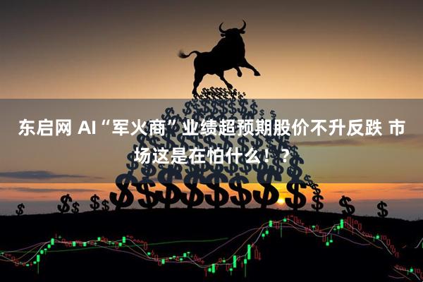 东启网 AI“军火商”业绩超预期股价不升反跌 市场这是在怕什么！？