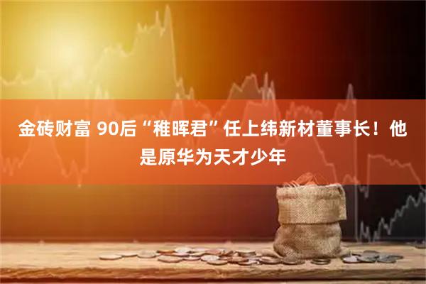 金砖财富 90后“稚晖君”任上纬新材董事长！他是原华为天才少年
